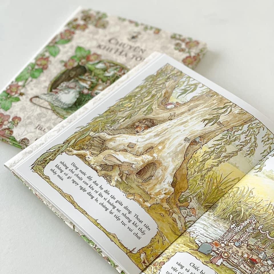 Miền Dâu Dại - Bìa Cứng