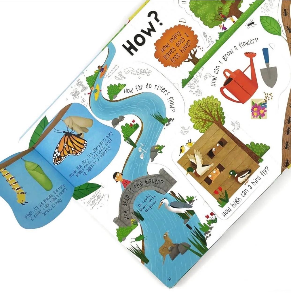 Lift the flap Question and Answer about Nature