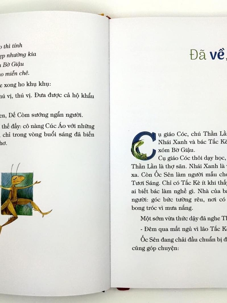 Xóm Bờ Dậu- Bìa Cứng ( NXb Kim Đồng)