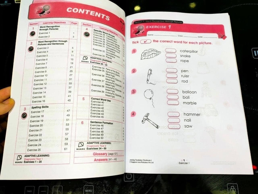 LEARNING VOCABULARY 1-6