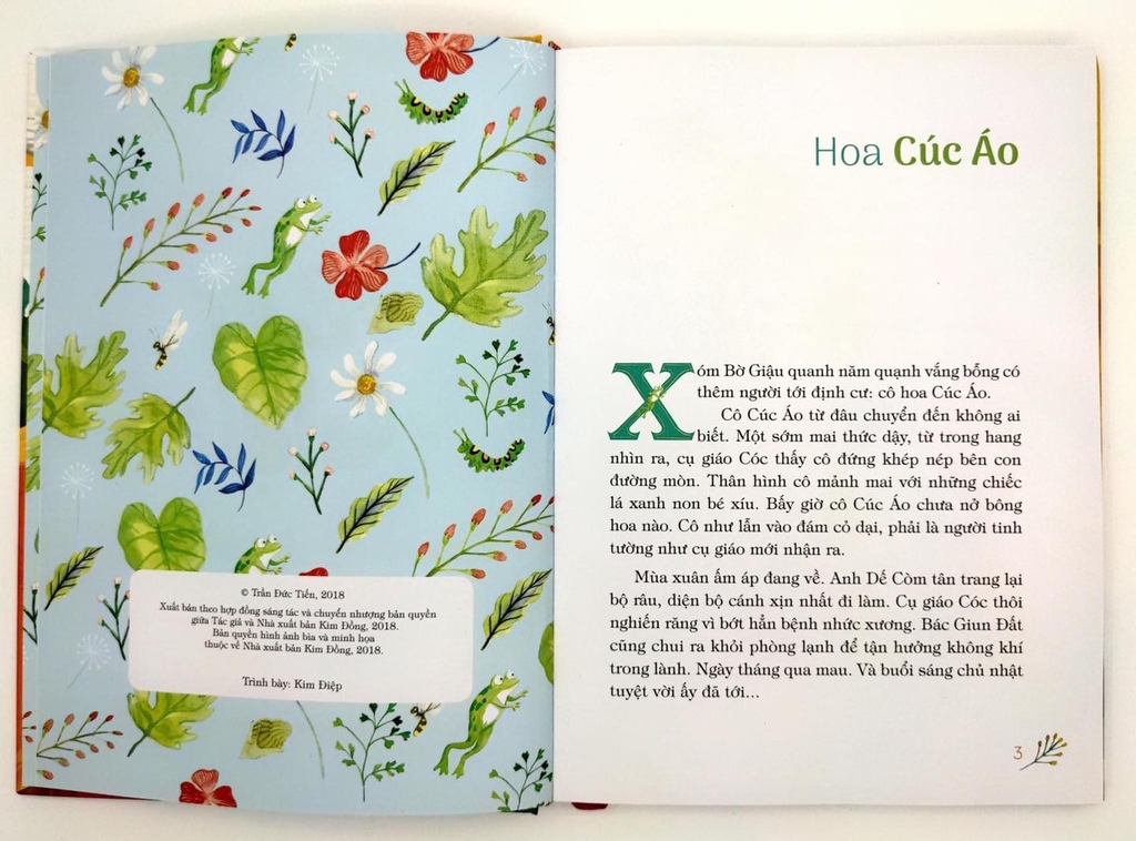 Xóm Bờ Dậu- Bìa Cứng ( NXb Kim Đồng)