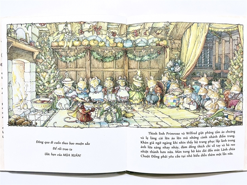 Bộ Sách Miền Dâu Dại Phần 2 - Chuyện Phiêu Lưu Full Box