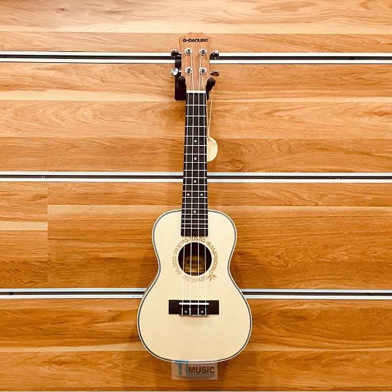 G 2024 danube guitar