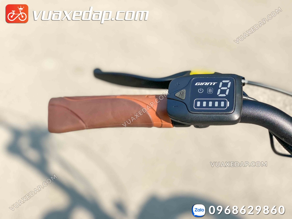 GIANT ESPRESSO E + (xe đạp trợ lực điện) chính hãng Vua Xe Đạp