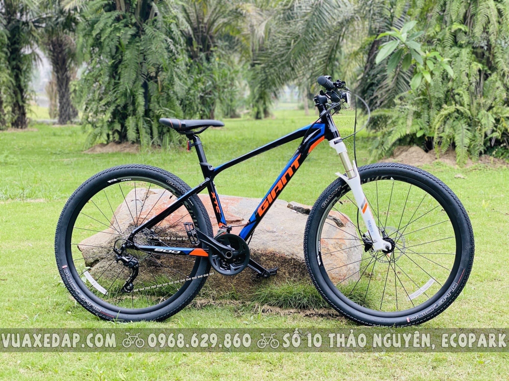 Xtc clearance 800 2019