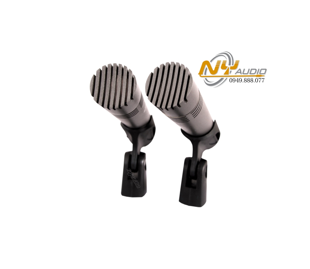 Prodipe DUO A1 Condenser Microphone Unidirectional hàng nhập khẩu chính hãng