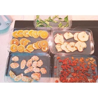 Máy sấy hoa quả WMF