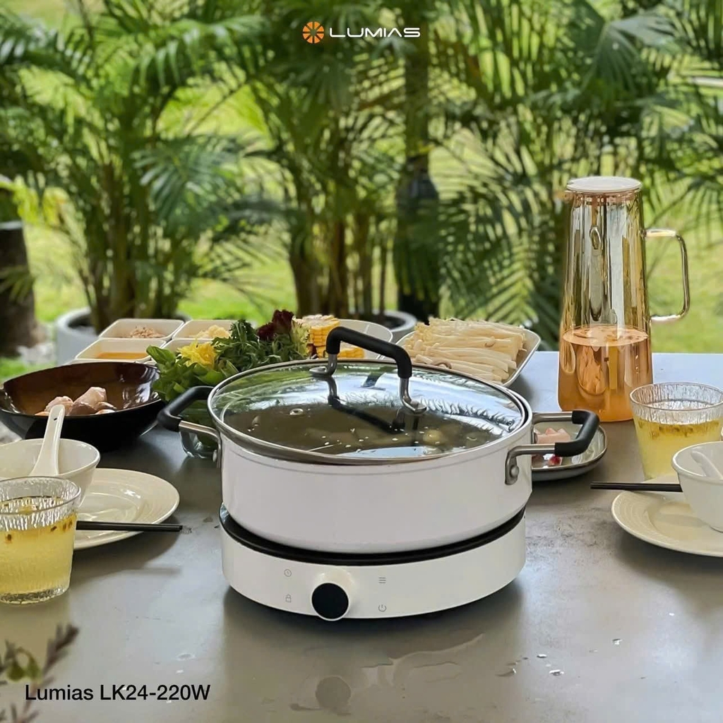 Bếp từ đơn Lumias LK24-220B