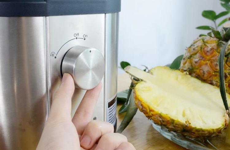 Máy ép trái cây chậm Steba E400