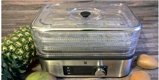 Máy sấy hoa quả WMF