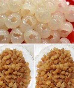 Máy sấy hoa quả WMF