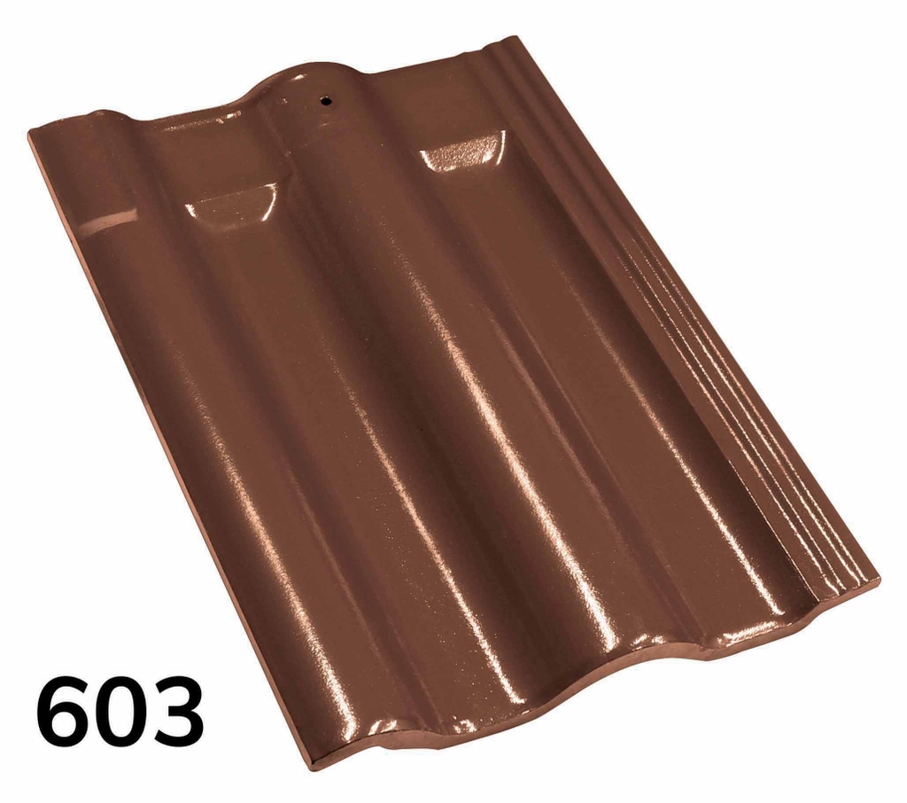 Ngói màu Tokyo Japan 603