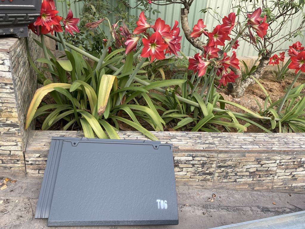 Sản phẩm ngói T06