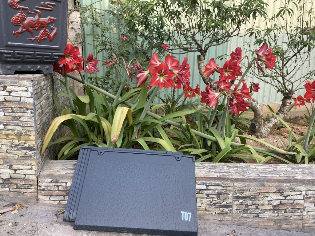 Sản phẩm ngói T07