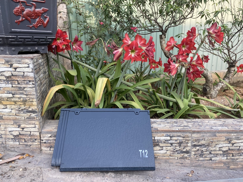 Sản phẩm ngói T12