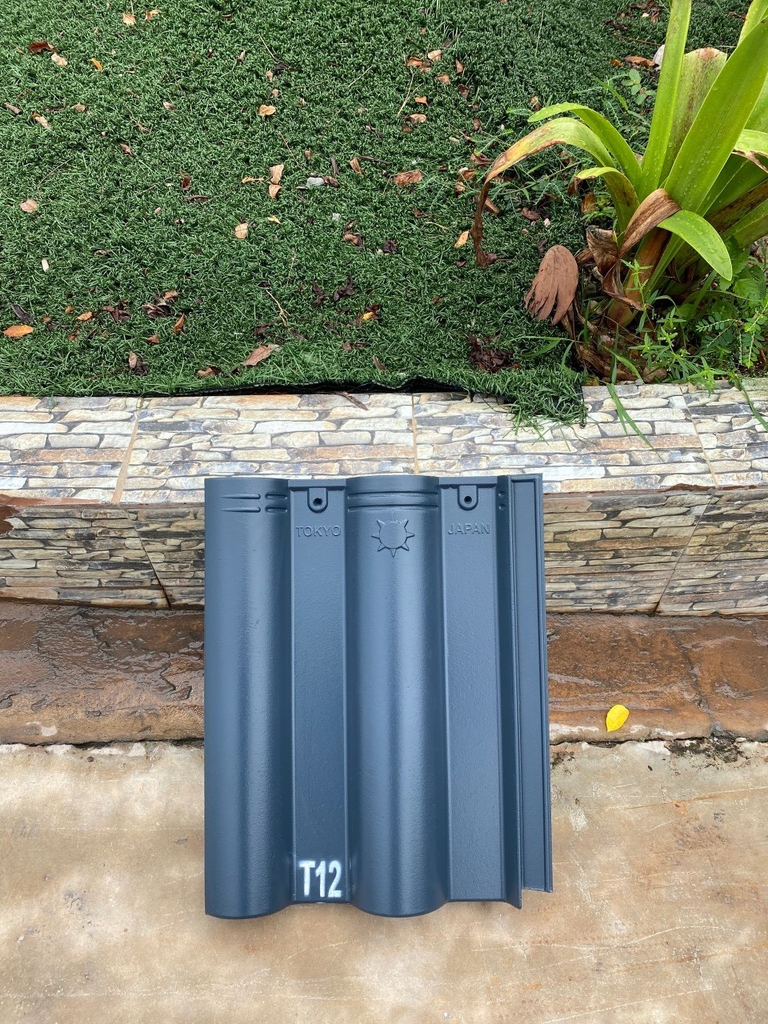 Sản phẩm ngói T12