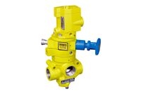 Piloted Valves