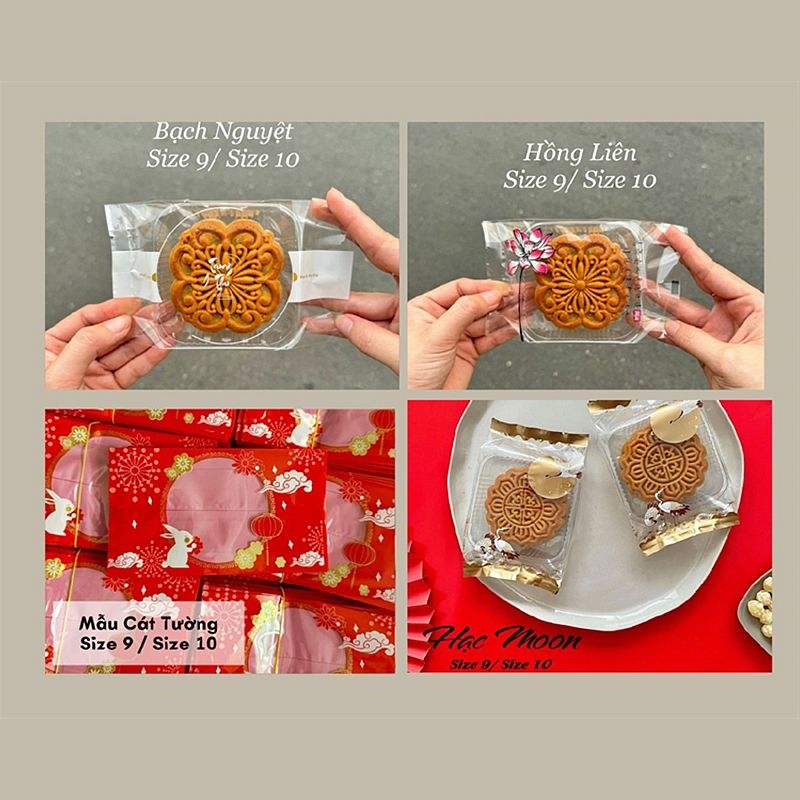 Đa dạng kiểu dáng túi ép bánh trung thu