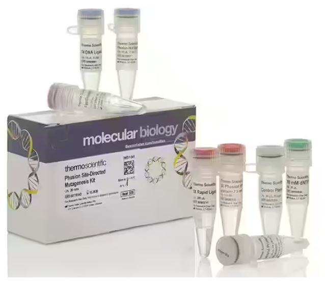 Phusion Site-Directed Mutagenesis Kit