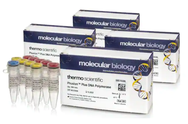 Phusion PlusTM DNA Polymerase