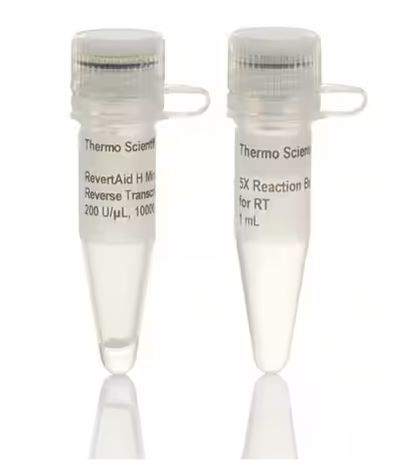 RevertAid™ H Minus Reverse Transcriptase