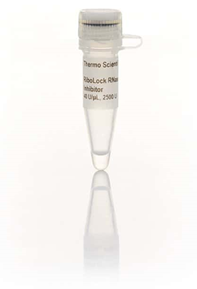 RiboLock RNase Inhibitor (40 U/µL)