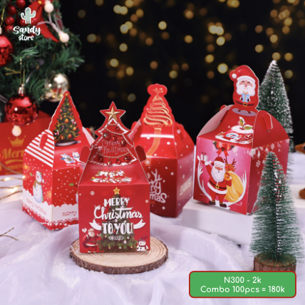 N300 - Hộp Quà Noel - Sandy Store