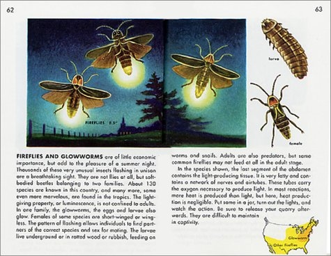 Insects (A Golden Guide) Gác Xép Bookstore