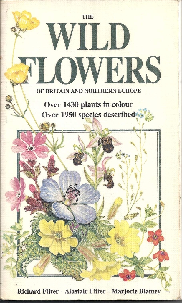 Wild Flowers of Britain and Northern Europe (1974, Harper Collins) Gác Xép Bookstore