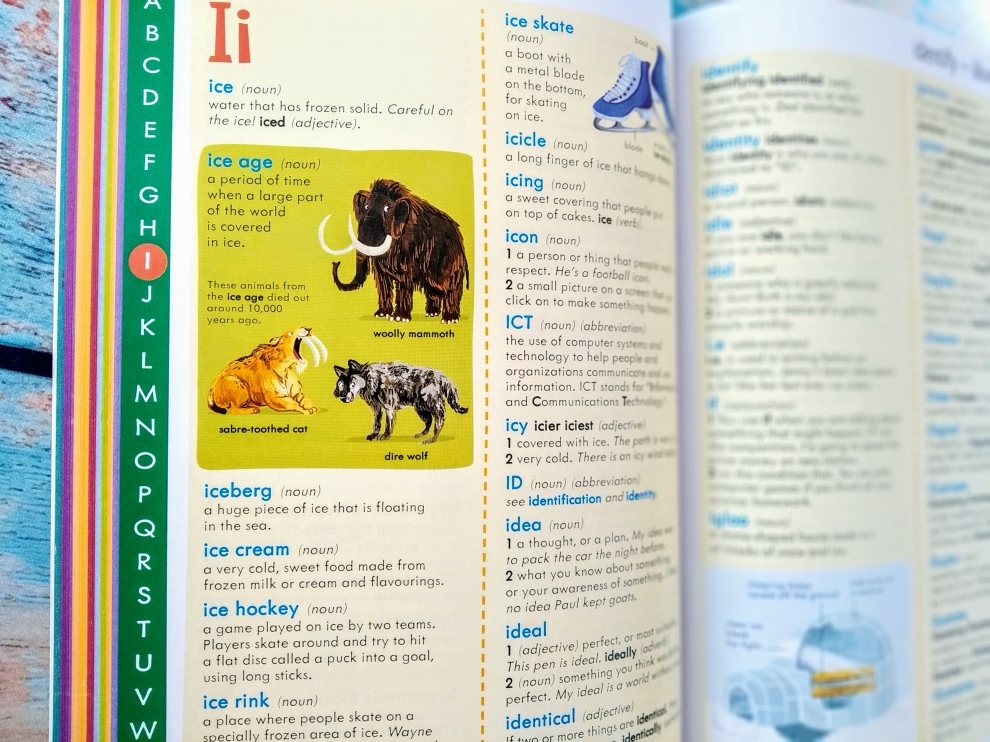 Junior Illustrated English Dictionary And Thesaurus Blue Horizon