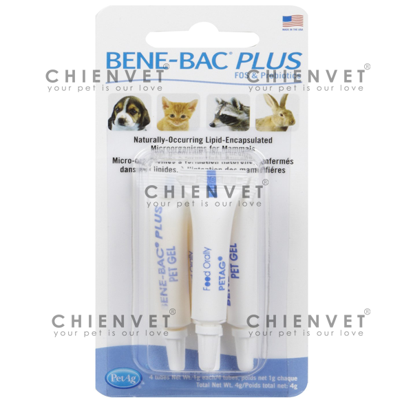 Men tiêu hoá - BENE-BAC PLUS vỉ 4 ống