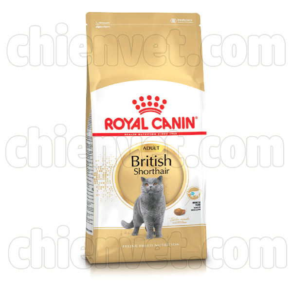 Royal canin British Shorthair adult - Thức ăn dành cho mèo anh lông ngắn trưởng thành