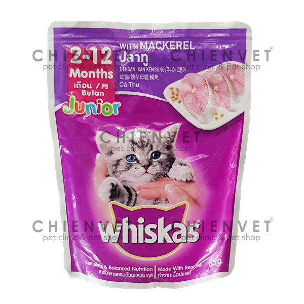 Whiskas Junior Mackerel 85g - Pate cho mèo con vị cá thu