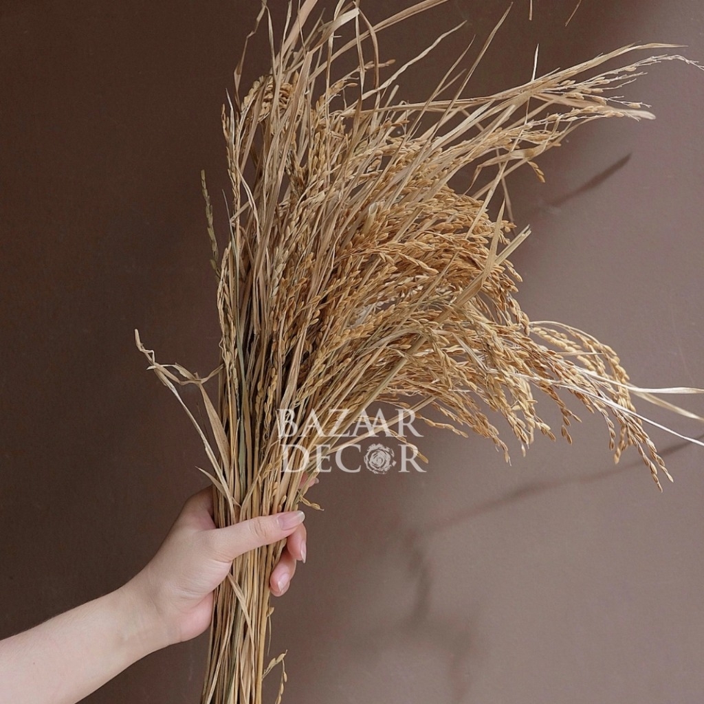 Bó bông lúa khô 75cm (Loại mộc còn lá) - Bazaar Decor