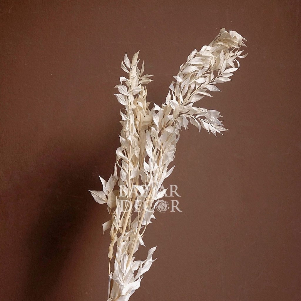 Bó hoa khô lá chanh ý màu trắng kem 30gr