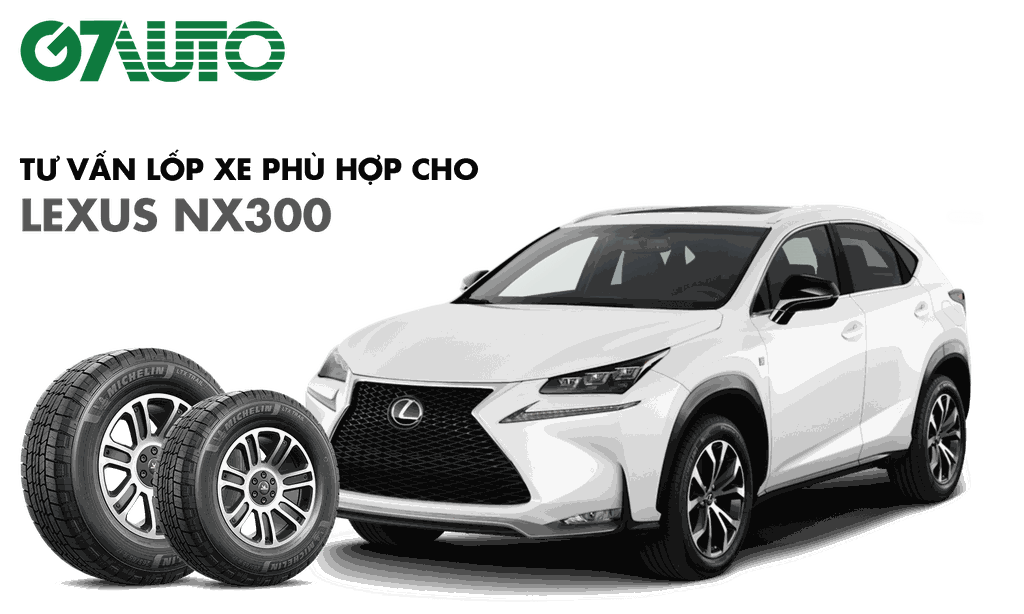 Lexus NX 300 mua bán xe NX 300 giá rẻ 092023  Bonbanhcom