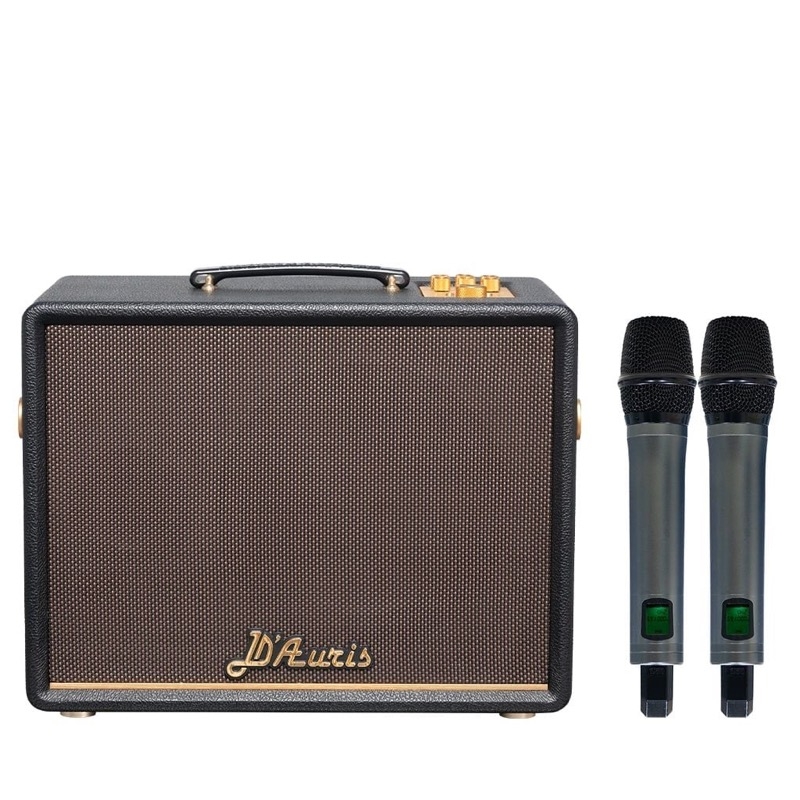 Loa Karaoke Soncamedia D'Auris 200 Có Đáng Mua? Đánh Giá Thực Tế Từ Nhà Đại Nam