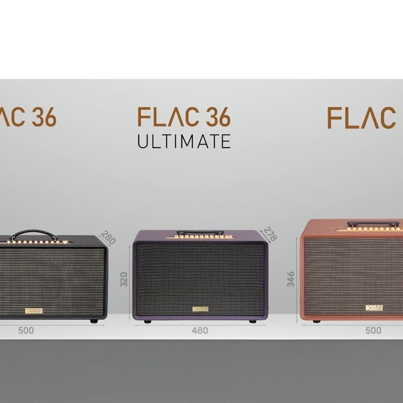 So Sánh Loa Acnos Flac 36 vs Flac 39: Nên Chọn Mẫu Nào 2026?