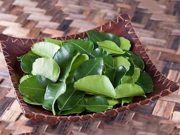 SỰ DIỆU KỲ CỦA TRÀ LÁ CHANH TƯƠI