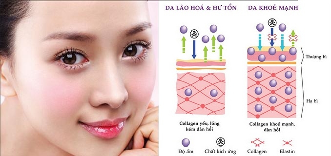 Xịt khoáng Collagen Hadanomy 250ml