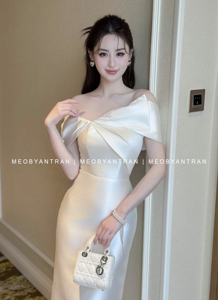 Đầm dự tiệc cao cấp