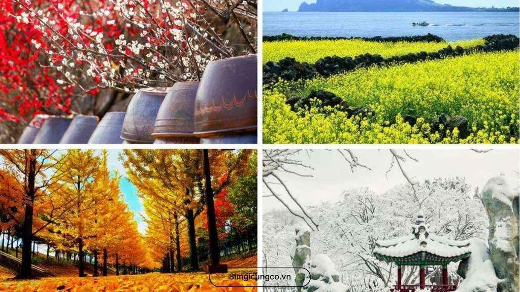 Du lịch Hàn Quốc mùa nào đẹp nhất?