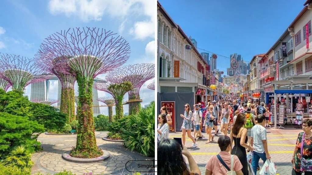 Du lịch Singapore mùa nào đẹp nhất? Nên đi tháng mấy? 