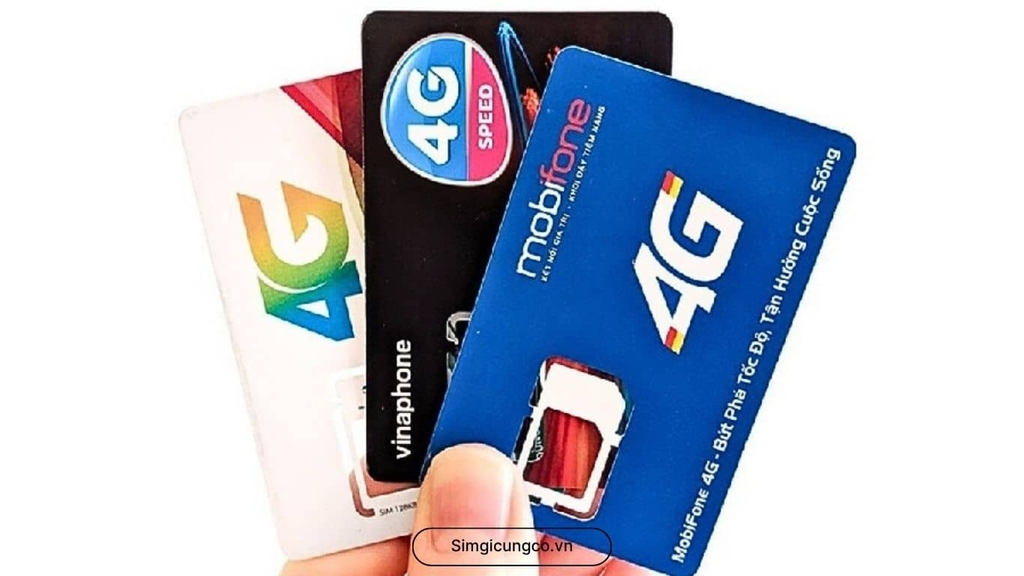 SIM Data Là Gì? Phân Biệt Chi Tiết SIM Data Với SIM Thường & Cách Chọn Tối Ưu