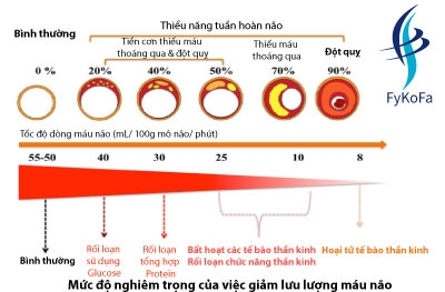 cac-thay-doi-benh-ly-lien-quan-toi-thieu-nang-tuan-hoan-nao-bang-chung-khoa-hoc-