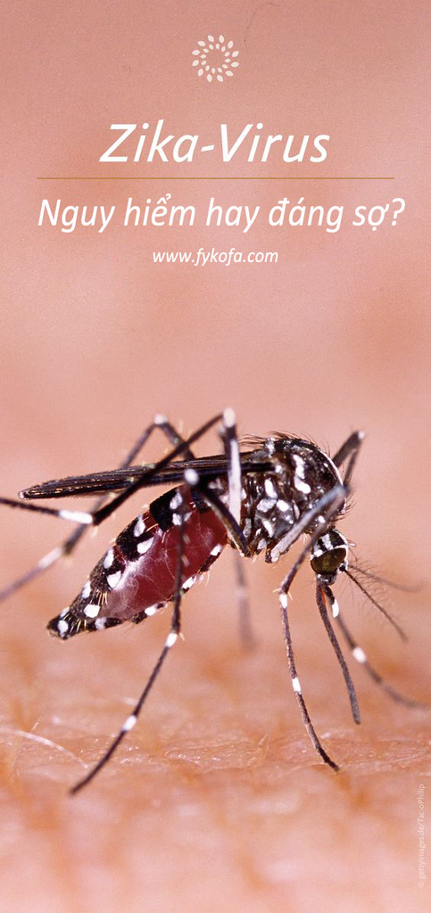 zika-virus-va-nhung-dieu-co-ban-can-biet