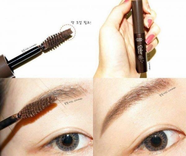 Mascara Chân Mày Etude House Color My Brows 01 Rich Brown