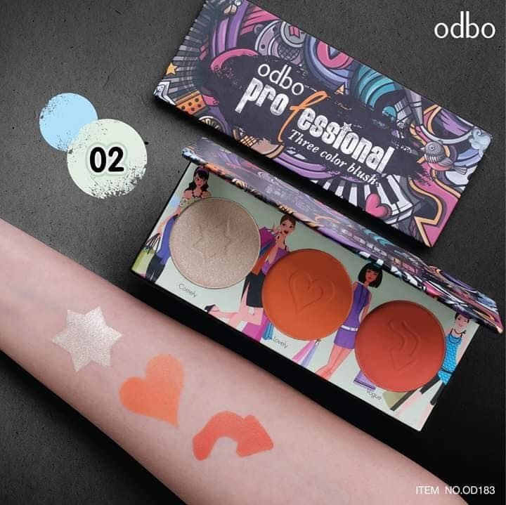 Bảng Má Hồng Odbo Professional Three Colour Brush