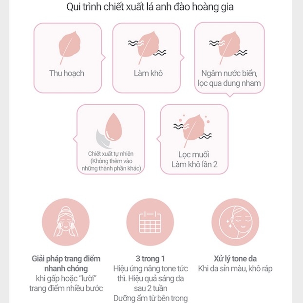 Kem Dưỡng Innisfree Jeju Cherry Blossom Tone-up Cream SPF30 PA+ 50ml