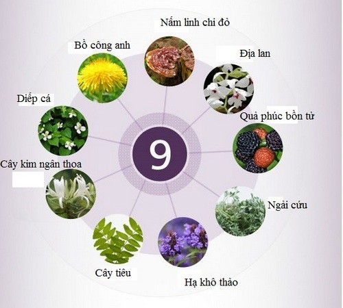Kem Dưỡng Innisfree Perfect 9 Repair Cream EX 60ml